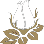 DĀVANU KARTE ( papīra formātā)