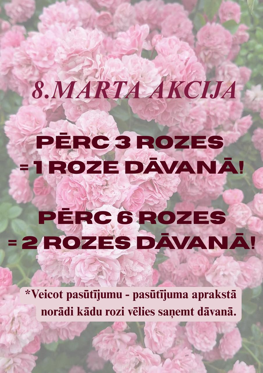 52a2c4d1-2bd9-4666-9bdd-30da840415c6